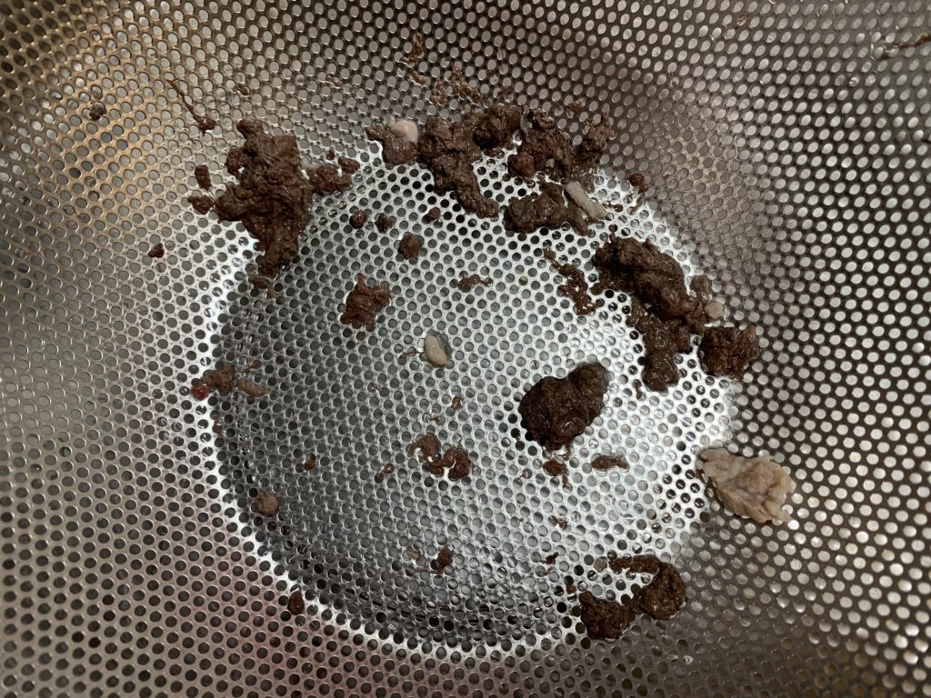 灰汁やら血の塊