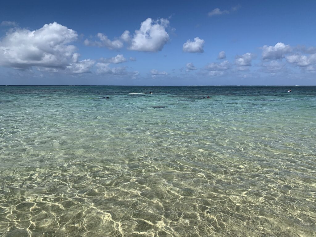 インスタ映えもするシュノーケリング天国の新城海岸