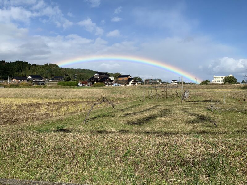 能登かき宮本水産