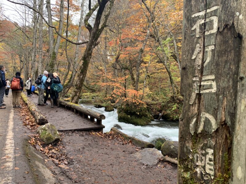 奥入瀬渓流石ヶ戸の瀬