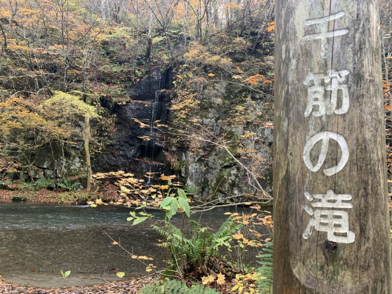 奥入瀬渓流千筋の滝