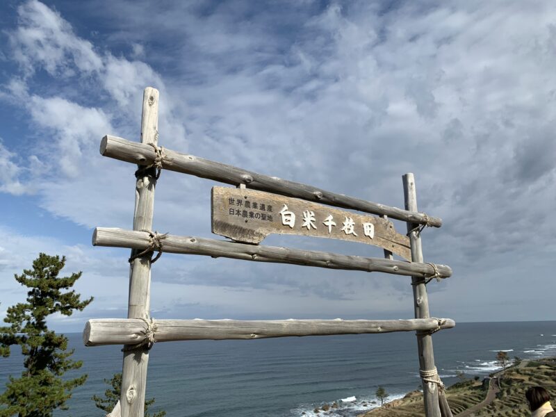 世界農業遺産の白米千枚田