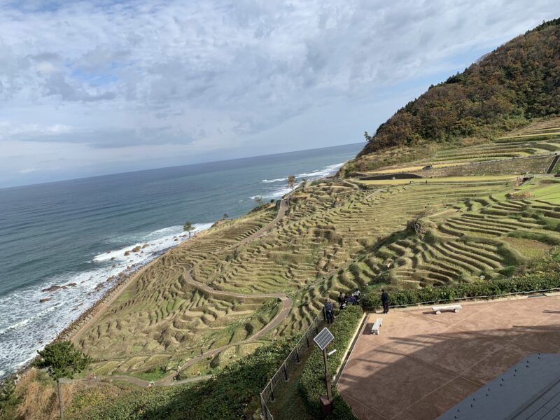 世界農業遺産の白米千枚田