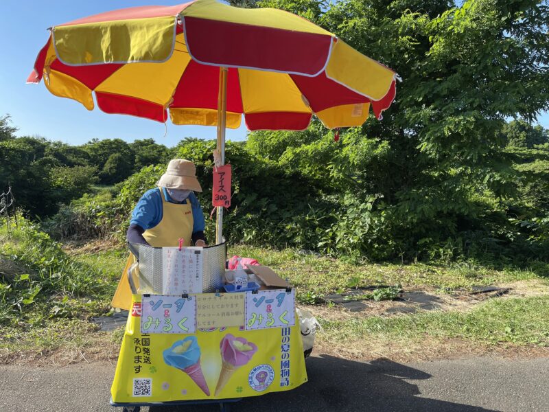 ババヘラアイス