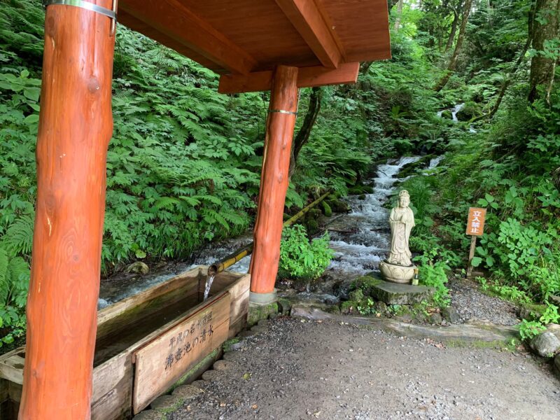 沸壺池の湧き水