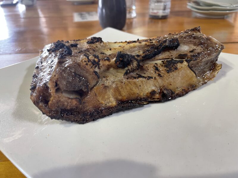 マグロカマトロ焼き