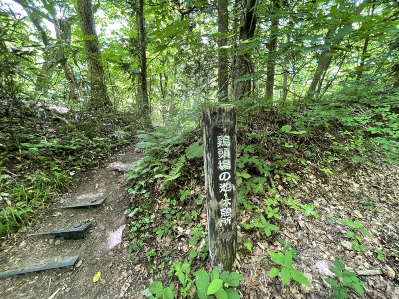 鶏頭場の池・休憩所