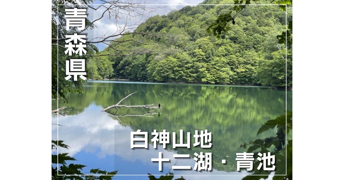 【青森】神秘的な青い池!世界自然遺産白神山地にある十二湖の1つ「青池」。 | Party-Hearty