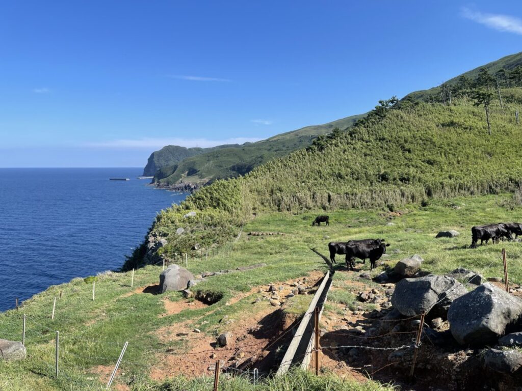 三島村黒島赤鼻
