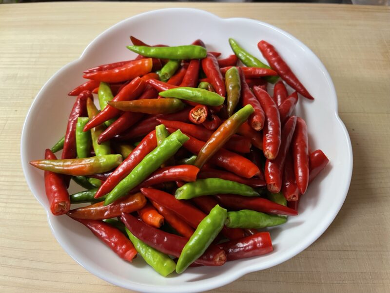 色鮮やかな生唐辛子